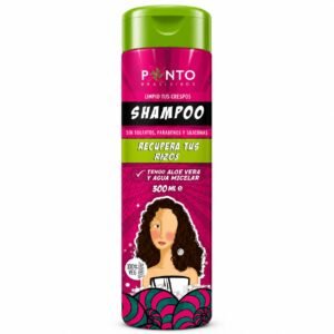 Shampoo Recupera Tus Rizos Ponto