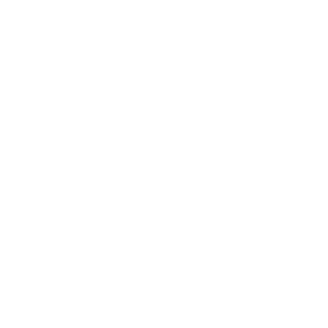 FEM